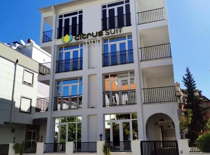 Citrus Homes
