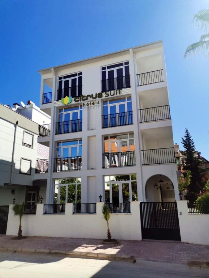Citrus Homes * Antalya
